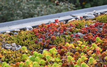 the cost of St Martins Moor green roof installation