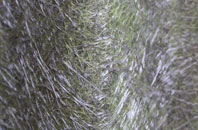 St Martins Moor fibreglass roof work